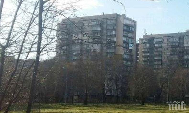 Община Пловдив продава 21 дка земя, очаква над 20 млн. лв.