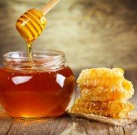 Как да разпознаем истинския мед
