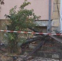 Семействата, останали без дом след пожара в Божурище, ще получат по 1 500 лв. от Общината