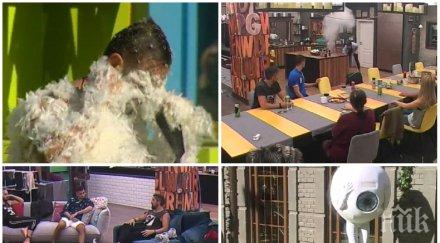 екшън без скуката съвсем побърка брадърите превърнаха къщата