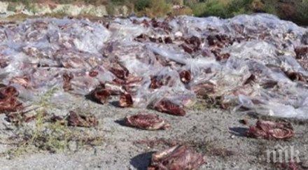 животински отпадъци изххърлени незаконно враца