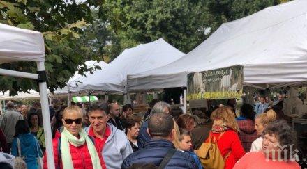 голям успех фандъкова навалица фермерски стоки парка заимов