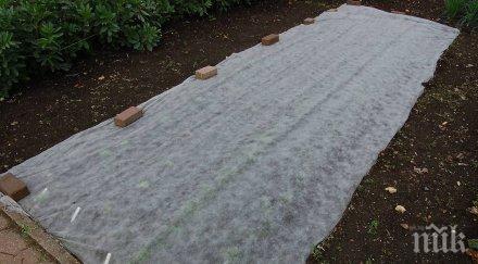 слана попари югозапада температурата падна градуса