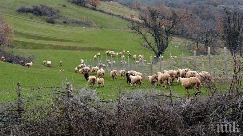 Европейската комисия с нови санкции срещу България