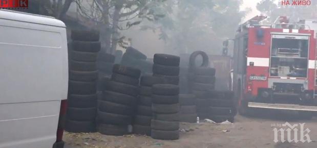 Монтана диша чист въздух през лятото