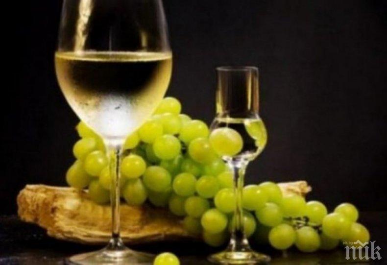 Уникално! Ракията лекува всичко - от болест до лошо настроение 