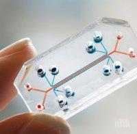 Китай краде тайни от САЩ с нови технологии