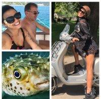 УЖАС! Деси Цонева се нагълта с отровна риба в Япония (СНИМКИ)