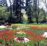 Фактическото приемане на парк 