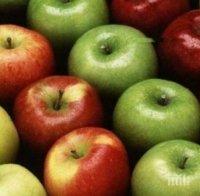 Учени разкриха защо трябва да ядем ябълките с кората и семките