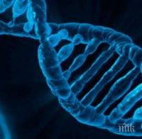 Учени с шокиращо изследване - средата променя коефициента за интелигентност на генетично ниво