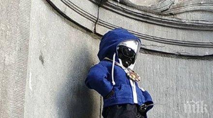 пикльото жулиен цяло семейство домашен любимец снимки