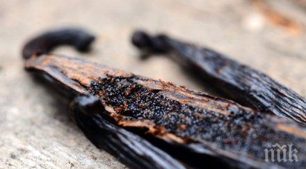 ванилията ценна среброто