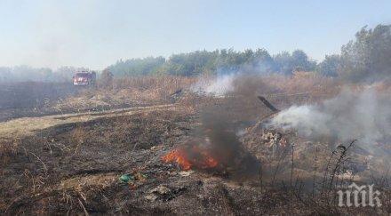 огнен пловдив горят десетки декари снимки