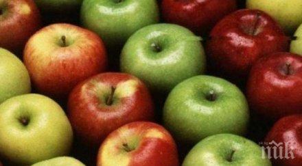 учени разкриха ядем ябълките кората семките