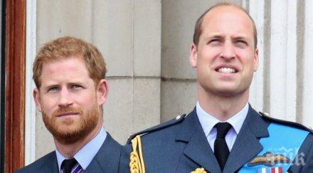 разтърсващо принц хари брат проговориха смъртта даяна