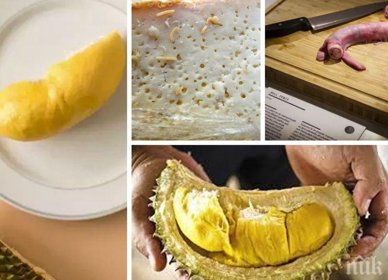 Хит! В Малмьо отваря врати музей на най-отвратителните храни на света