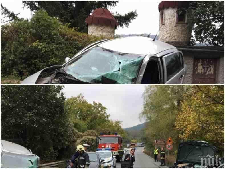 Зверско меле затвори Е-79 край Ребърково! Челен удар прати четирима в болница (СНИМКИ)