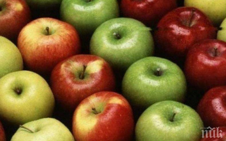 Учени разкриха защо трябва да ядем ябълките с кората и семките