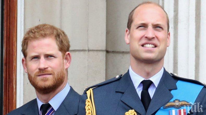 РАЗТЪРСВАЩО! Принц Хари и брат му проговориха за смъртта на Даяна