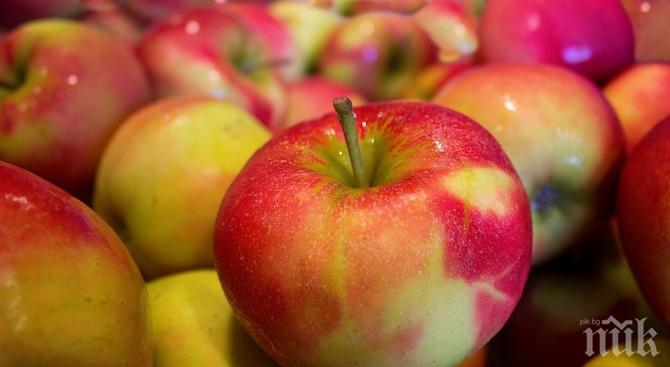 Ще има ли български ябълки на пазара въпреки лошото време