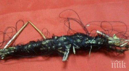 изглеждат различните магии можете намерите дома снимки