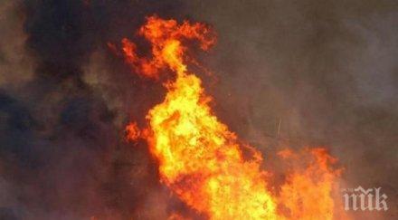 огнен ужас конго изгоряха живи катастрофа цистерна