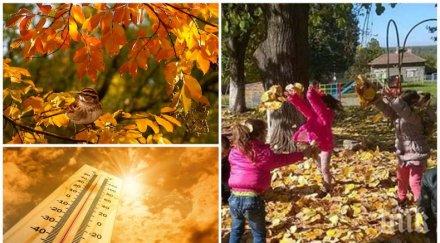 есенният разкош продължава слънцето грее щедро температурите достигнат градуса