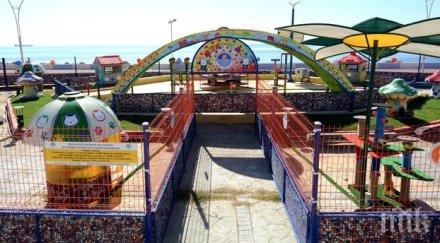 паркът мяу осигурява подслон храна забавления улични котки видео