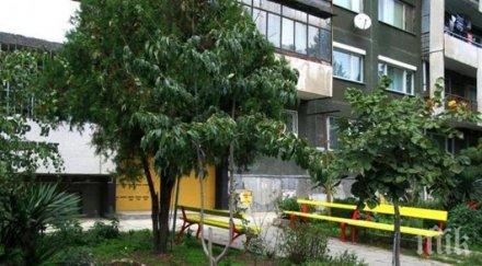 пълно падение висшистка враца стана престъпник копае градинки назидание