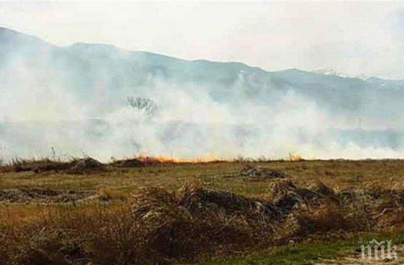 ОГНЕН АД! Огромен пожар лумна на нива край Мизия

