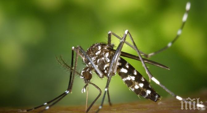 Западнонилската треска връхлетя Гърция, 18 души са заразени за седмица