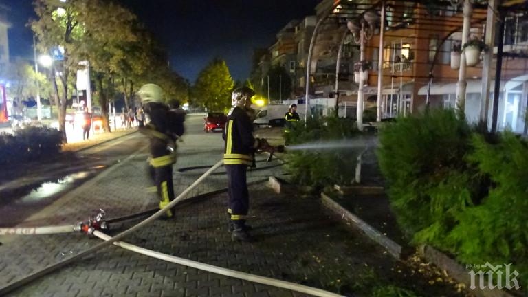 ОГНЕН АД! Пожар изпепели зимната градина на заведение в Благоевград, няма ранени
