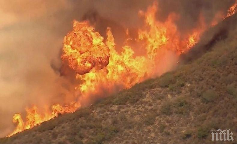 АД ПОД НЕБЕТО! Стотици пожарникари се борят с пожар край Лисабон
