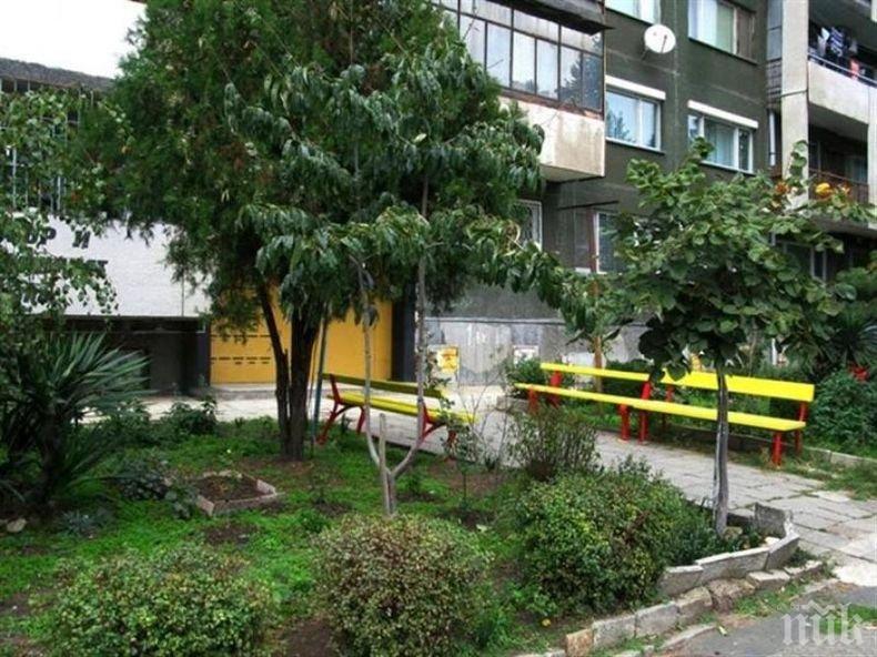 ПЪЛНО ПАДЕНИЕ: Висшистка от Враца стана престъпник, ще копае градинки за назидание