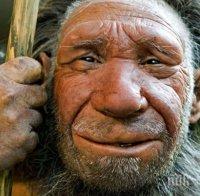 ФУНДАМЕНТАЛНО! Сексът с неандерталци създал първата защита от вируси