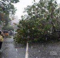 Близо 300 000 души са евакуирани заради опасен циклон, приближаващ Индия