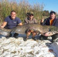 Извадиха гигантски сом от язовир Берсин! 