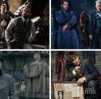 Шокиращо! В продължението на „Фантастичните животни“ става ясно, че магьосникът от вселената на Хари Потър Албус Дъмбълдор е ...