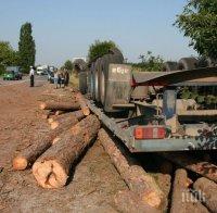 ИНЦИДЕНТ НА ПЪТЯ! Товарен автомобил с трупи се преобърна - шофьорът е в болница