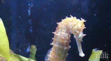 екокатастрофа лодките разходка великобритания водят унищожаване