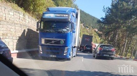 тир помете пенсионерка