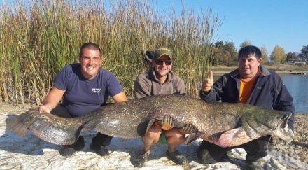 извадиха гигантски сом язовир берсин чудовището дълго 225 тежи кила снимки