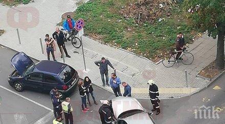 корса алфа помляха бургас снимки