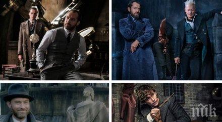 шокиращо продължението фантастичните животни става ясно магьосникът вселената хари потър албус дъмбълдор