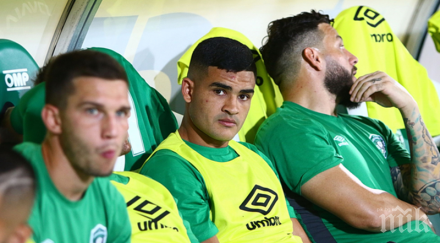 силно разклатени зелените