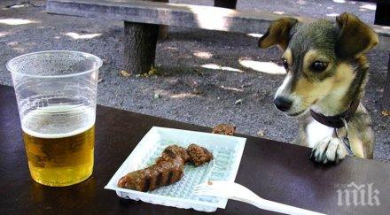 хлапета разбиха павилион свиха бира кебапчета