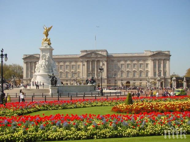 Ремонтират Бъкингамския дворец за 500 млн. долара