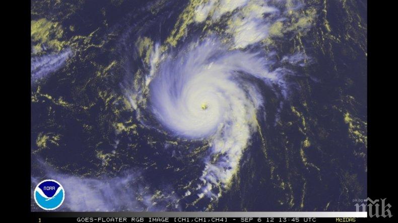 Ураганът Майкъл връхлетя Флорида с пълна сила (ВИДЕО)
