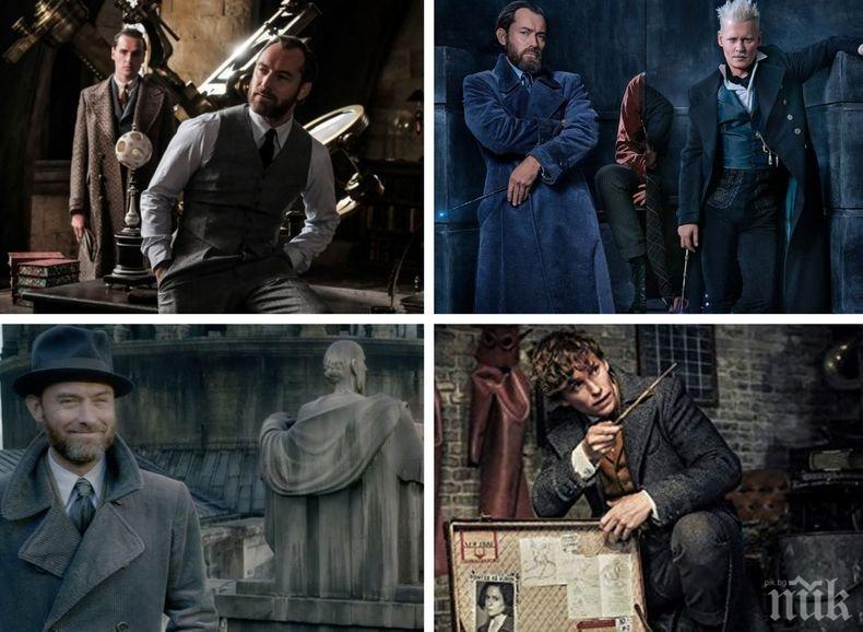 Шокиращо! В продължението на „Фантастичните животни“ става ясно, че магьосникът от вселената на Хари Потър Албус Дъмбълдор е ...